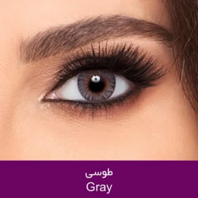 لنز رنگی روزانه طوسی